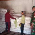 Babinsa Dadapan Kawal Langsung Distribusi Pupuk Subsidi, Petani Grujugan Kini Lebih Tenang!