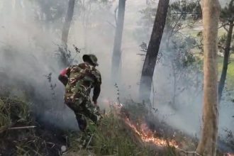 Api Karhutla Mengamuk di Maskuning, Babinsa Tlogosari Bergerak Cepat Padamkan Kobaran hingga 5 Hektare