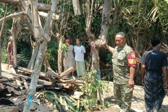 Babinsa Tanggap Cepat, Kebakaran Dapur dan Kandang Sapi di Sempol Berhasil Ditangani