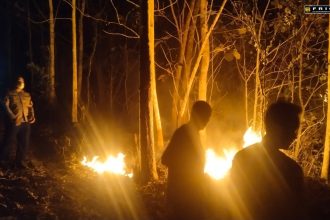 Kebakaran Lahan Perkebunan di Perbatasan Ciamis– Pangandaran, Polisi dan Warga Bahu-Membahu Padamkan Api